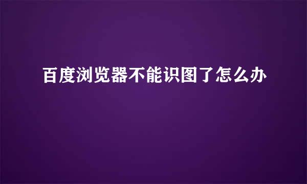 百度浏览器不能识图了怎么办