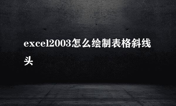 excel2003怎么绘制表格斜线头