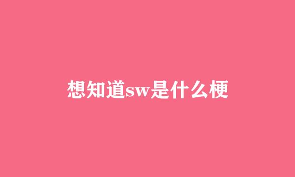 想知道sw是什么梗