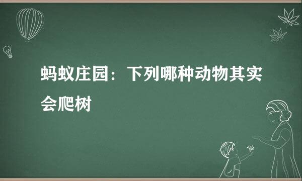 蚂蚁庄园：下列哪种动物其实会爬树