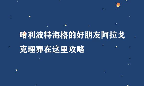 哈利波特海格的好朋友阿拉戈克埋葬在这里攻略