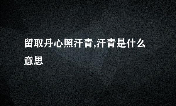 留取丹心照汗青,汗青是什么意思