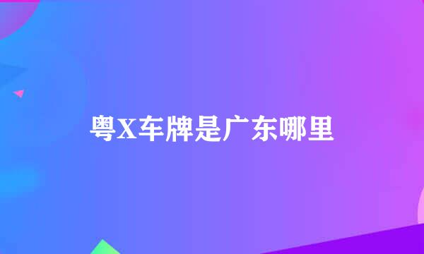 粤X车牌是广东哪里