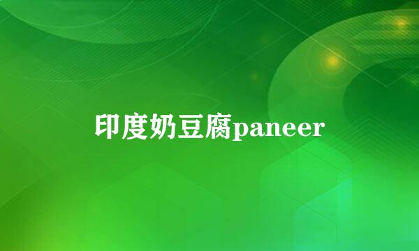 印度奶豆腐paneer