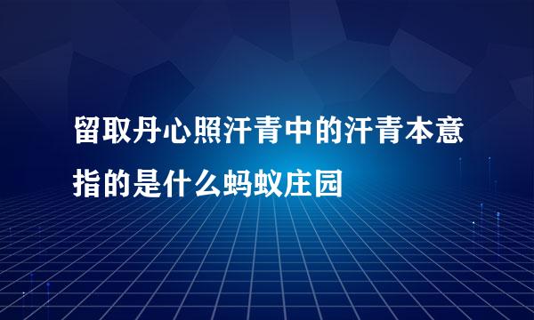 留取丹心照汗青中的汗青本意指的是什么蚂蚁庄园