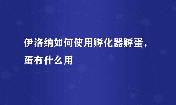 伊洛纳如何使用孵化器孵蛋，蛋有什么用