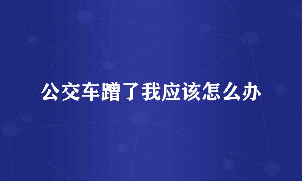 公交车蹭了我应该怎么办