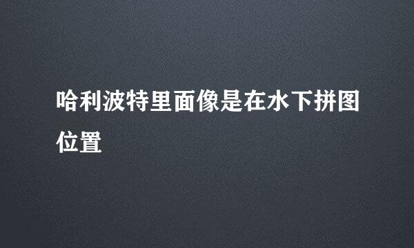 哈利波特里面像是在水下拼图位置