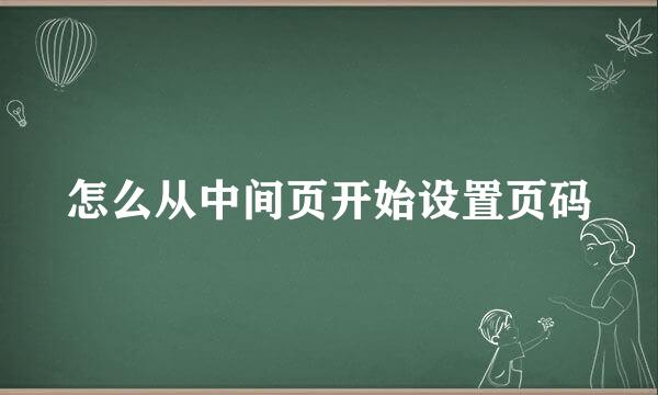 怎么从中间页开始设置页码