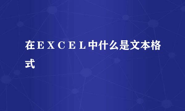 在ＥＸＣＥＬ中什么是文本格式