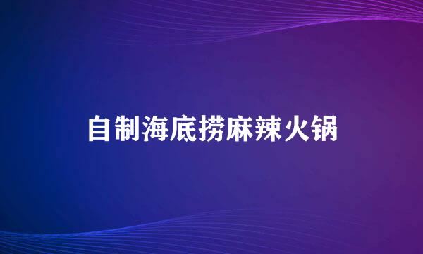 自制海底捞麻辣火锅