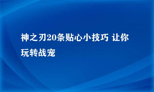 神之刃20条贴心小技巧 让你玩转战宠