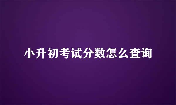 小升初考试分数怎么查询