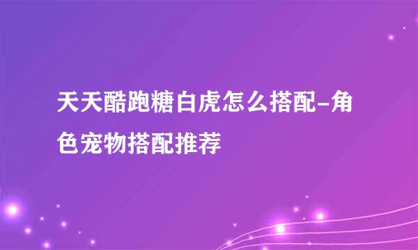 天天酷跑糖白虎怎么搭配-角色宠物搭配推荐