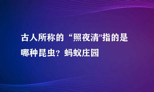 古人所称的“照夜清