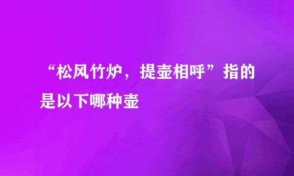 “松风竹炉，提壶相呼”指的是以下哪种壶