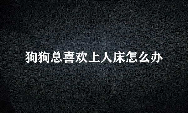 狗狗总喜欢上人床怎么办