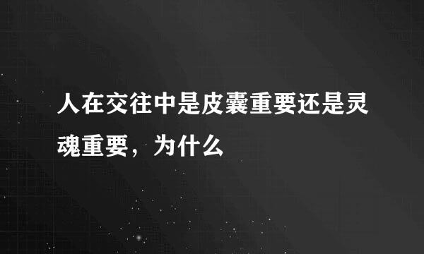 人在交往中是皮囊重要还是灵魂重要，为什么