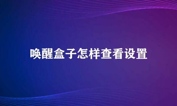 唤醒盒子怎样查看设置