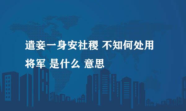 遣妾一身安社稷 不知何处用将军 是什么 意思