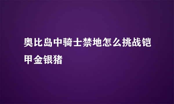 奥比岛中骑士禁地怎么挑战铠甲金银猪