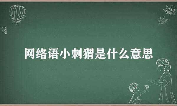 网络语小刺猬是什么意思