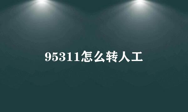 95311怎么转人工