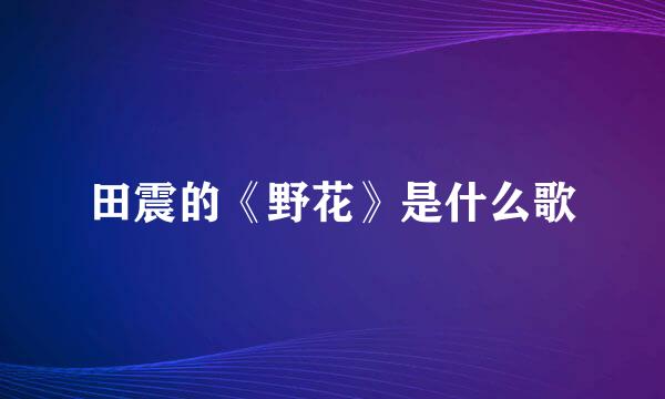 田震的《野花》是什么歌