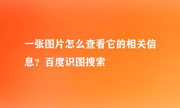 一张图片怎么查看它的相关信息？百度识图搜索