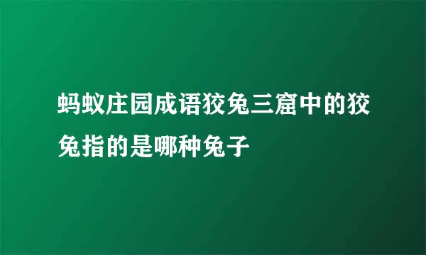 蚂蚁庄园成语狡兔三窟中的狡兔指的是哪种兔子