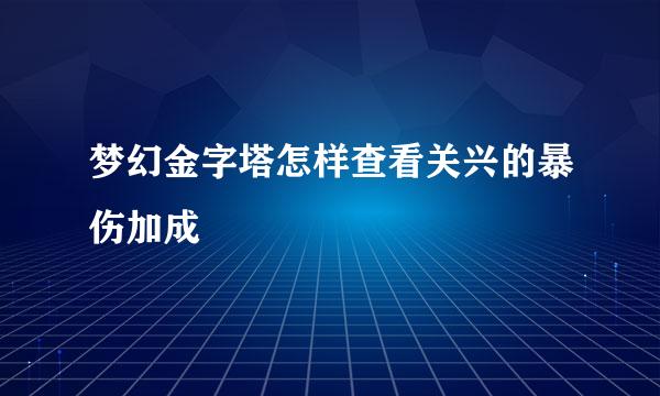 梦幻金字塔怎样查看关兴的暴伤加成