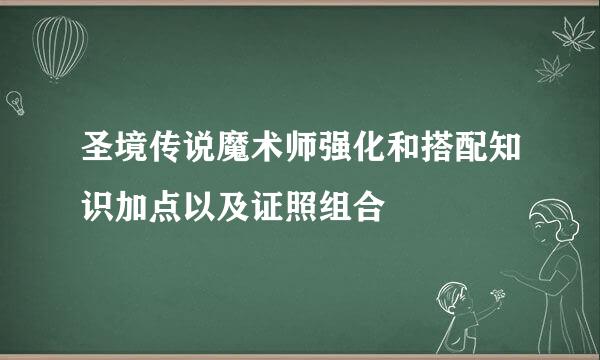 圣境传说魔术师强化和搭配知识加点以及证照组合