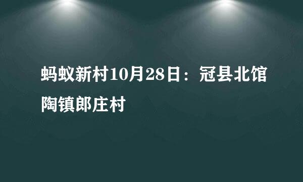 蚂蚁新村10月28日：冠县北馆陶镇郎庄村