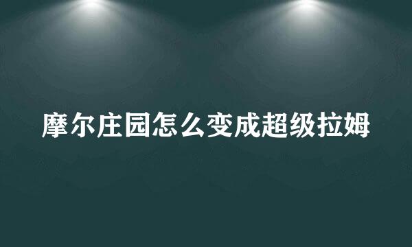 摩尔庄园怎么变成超级拉姆