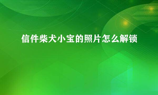 信件柴犬小宝的照片怎么解锁