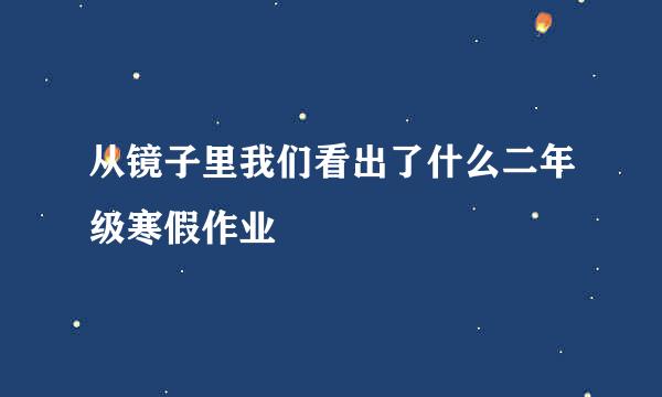 从镜子里我们看出了什么二年级寒假作业