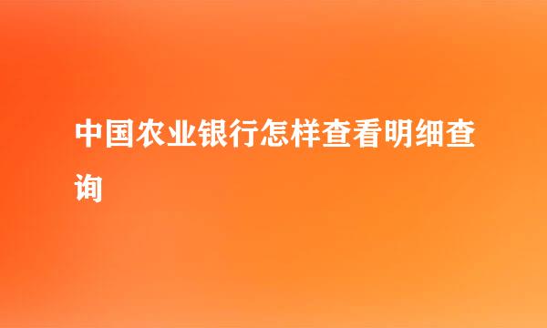 中国农业银行怎样查看明细查询