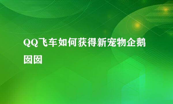 QQ飞车如何获得新宠物企鹅囡囡