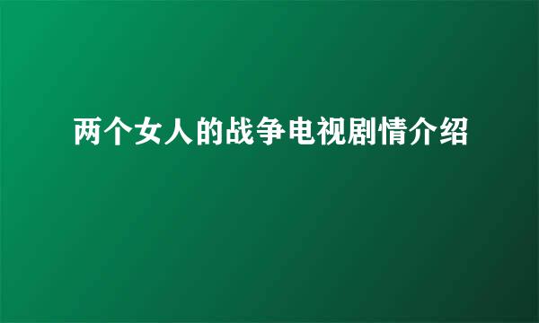 两个女人的战争电视剧情介绍