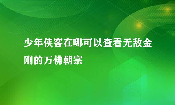 少年侠客在哪可以查看无敌金刚的万佛朝宗