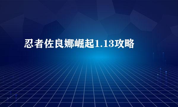 忍者佐良娜崛起1.13攻略