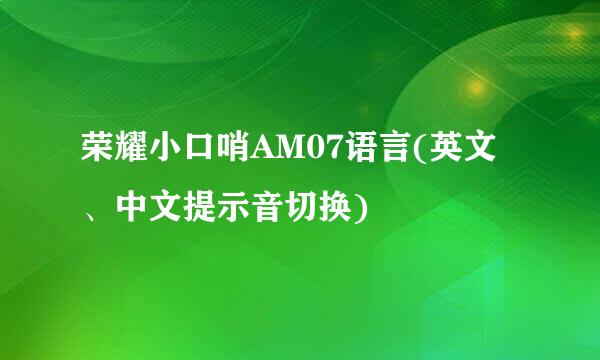 荣耀小口哨AM07语言(英文、中文提示音切换)