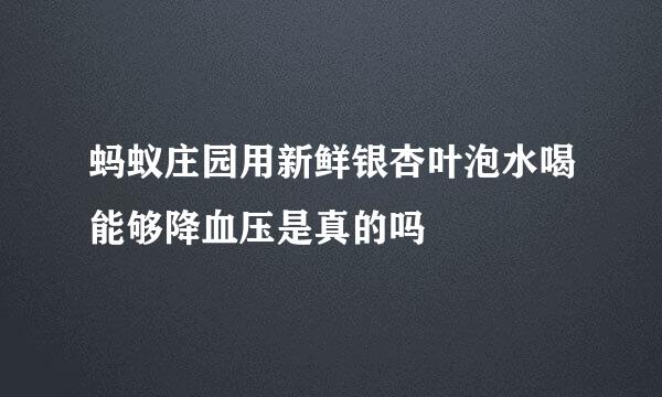 蚂蚁庄园用新鲜银杏叶泡水喝能够降血压是真的吗