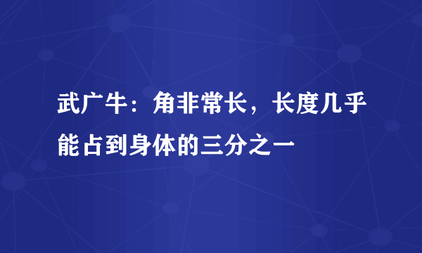 武广牛：角非常长，长度几乎能占到身体的三分之一