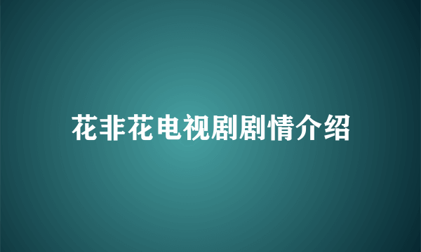 花非花电视剧剧情介绍