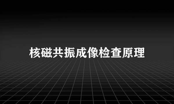 核磁共振成像检查原理