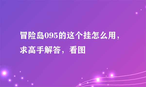 冒险岛095的这个挂怎么用，求高手解答，看图