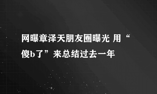 网曝章泽天朋友圈曝光 用“傻b了”来总结过去一年