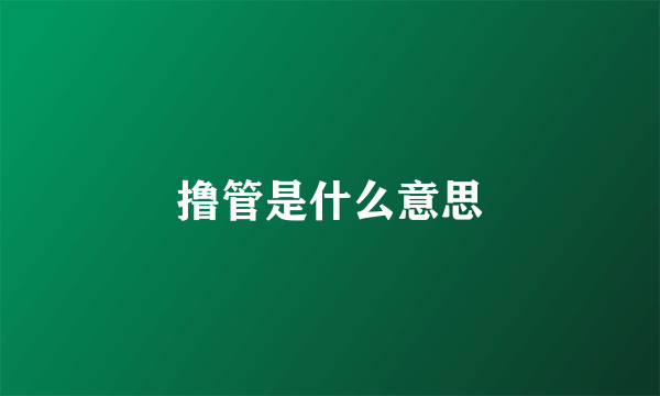 撸管是什么意思