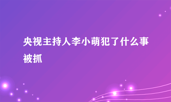 央视主持人李小萌犯了什么事被抓